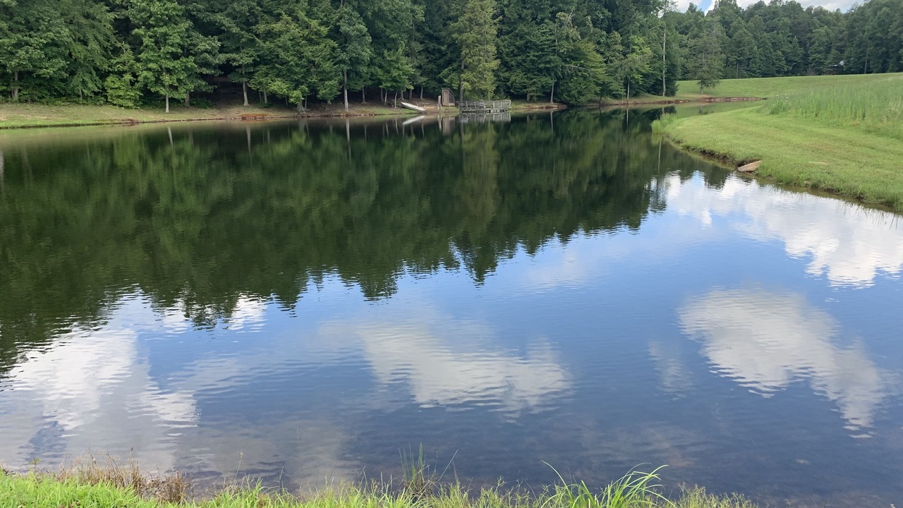 Photo of Others in Muddy Pond