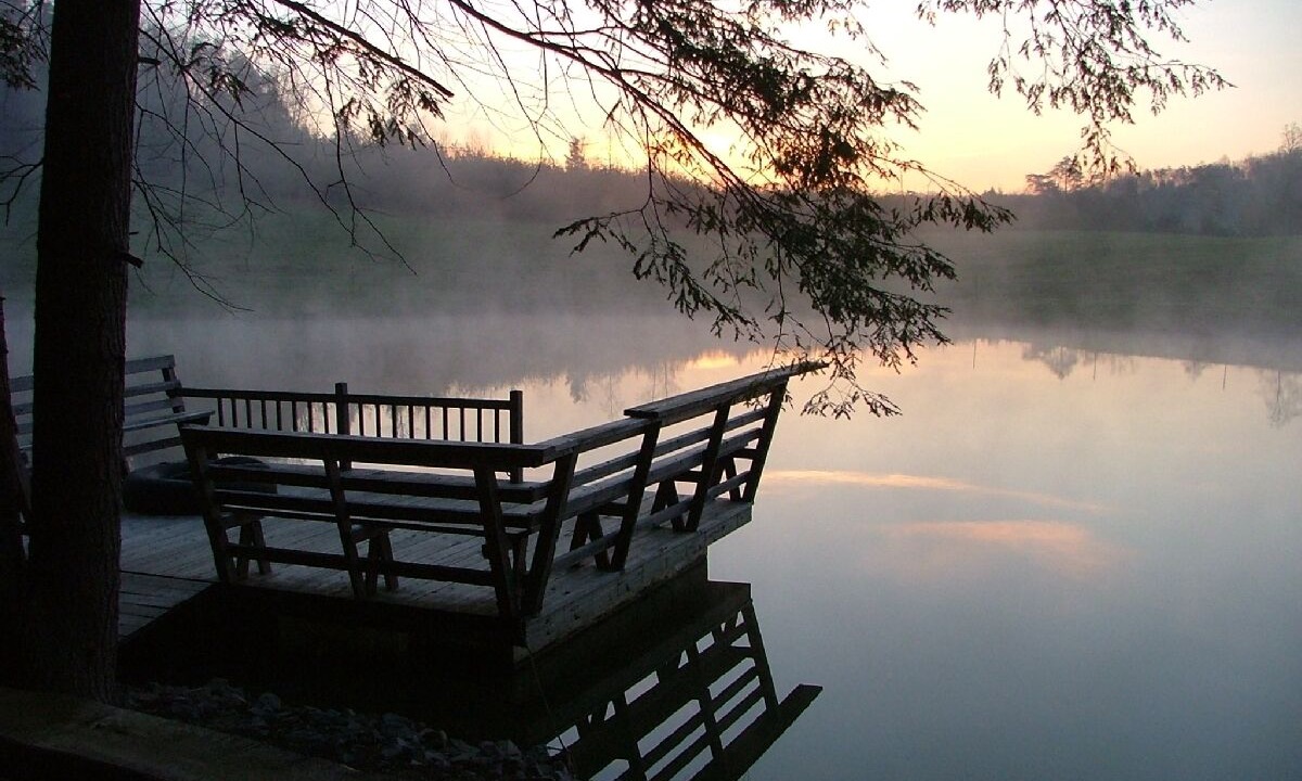 Photo of Outdoor in Muddy Pond