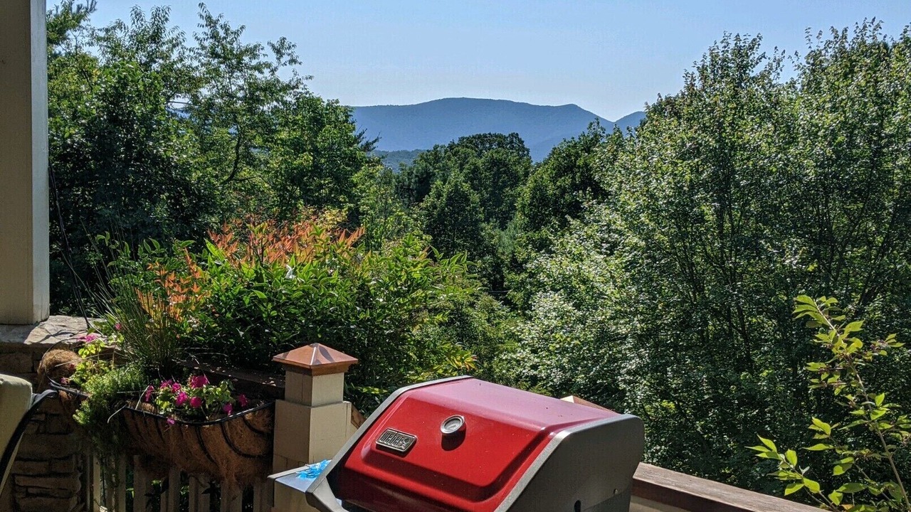 Photo of Others in Haw Creek
