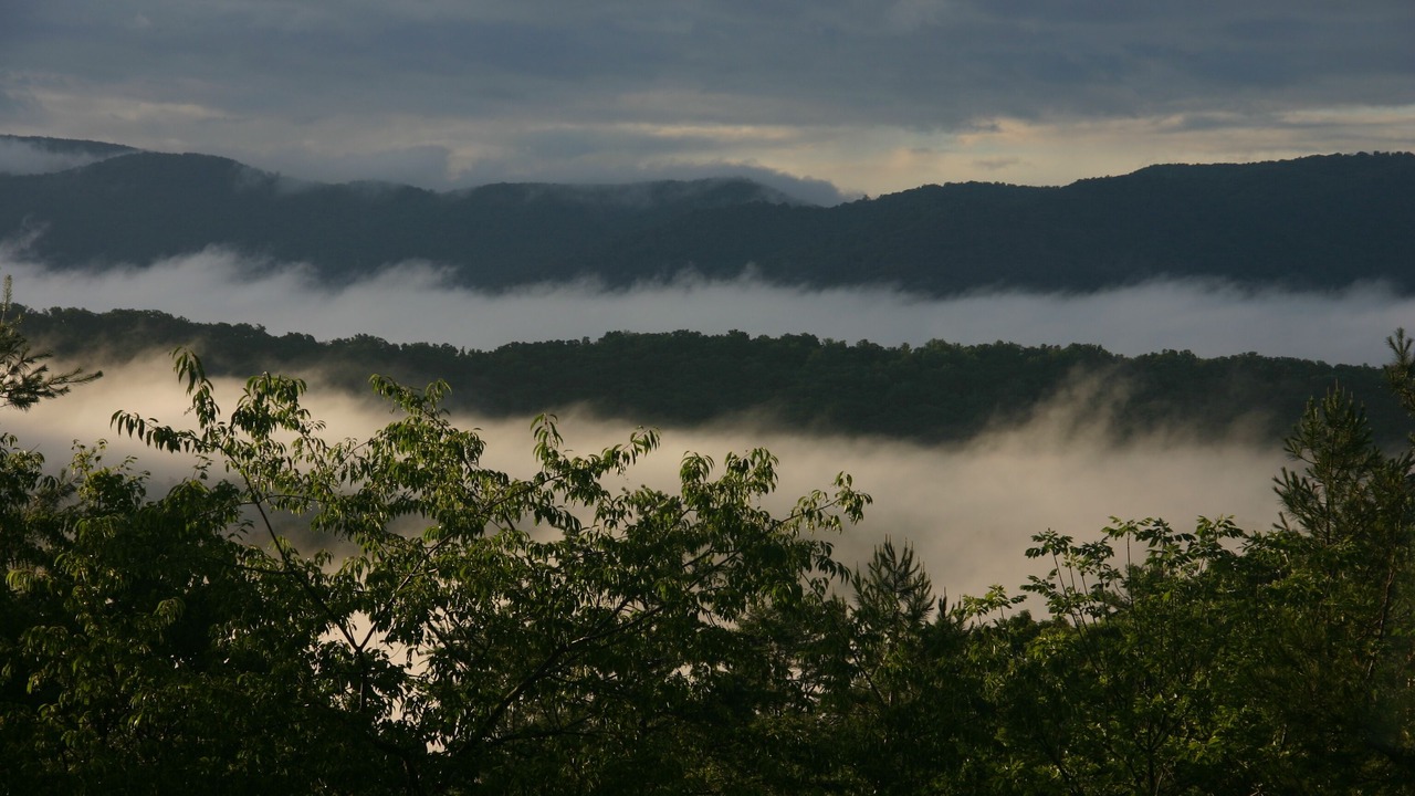 Photo of Others in Haw Creek