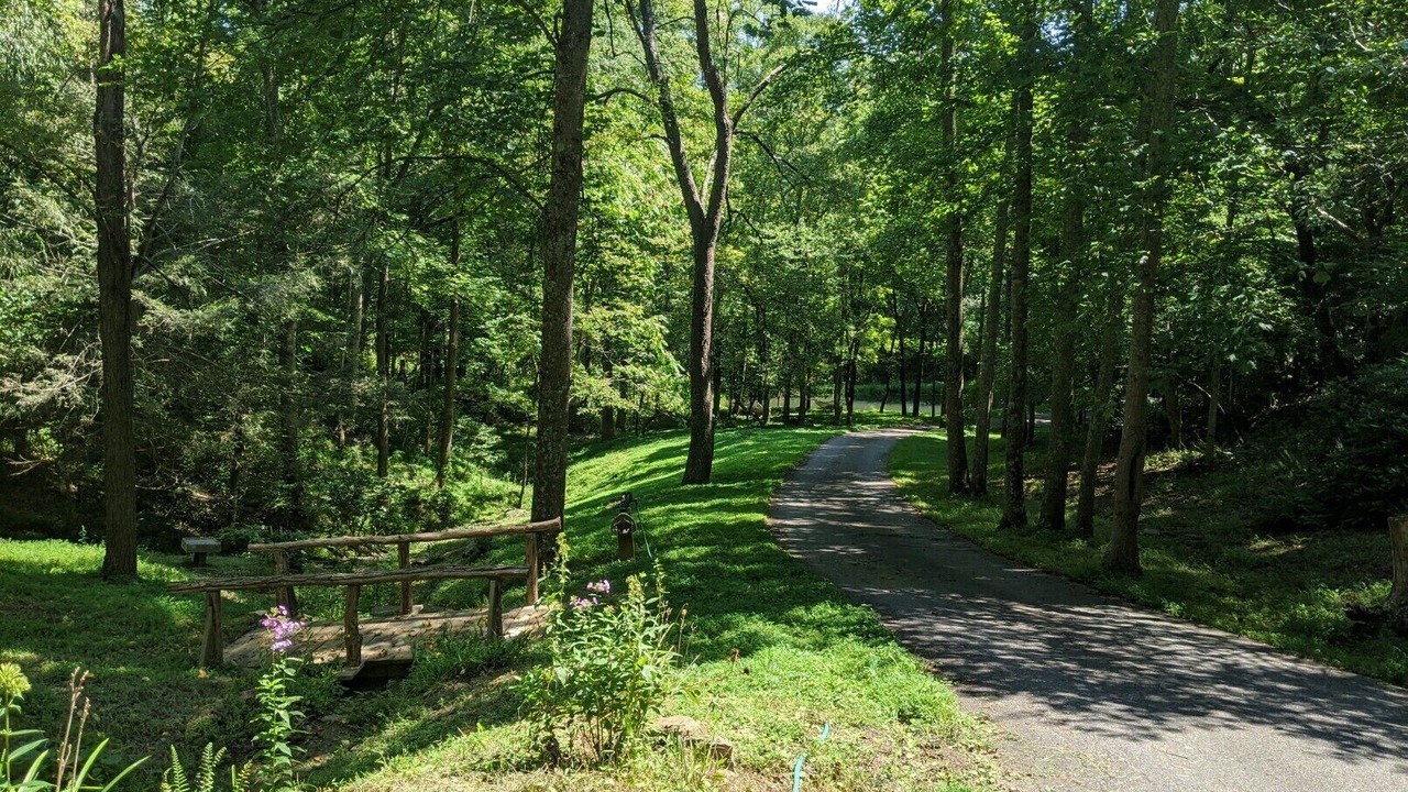 Photo of Others in Haw Creek