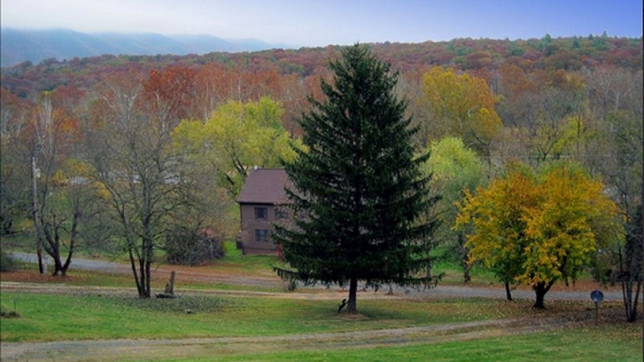Photo of Others in Rileyville