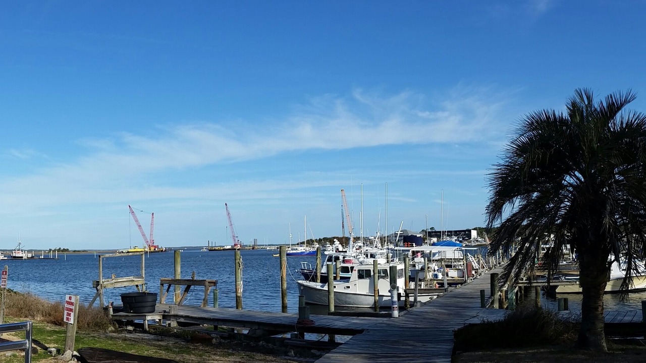 Photo of Others in Morehead City