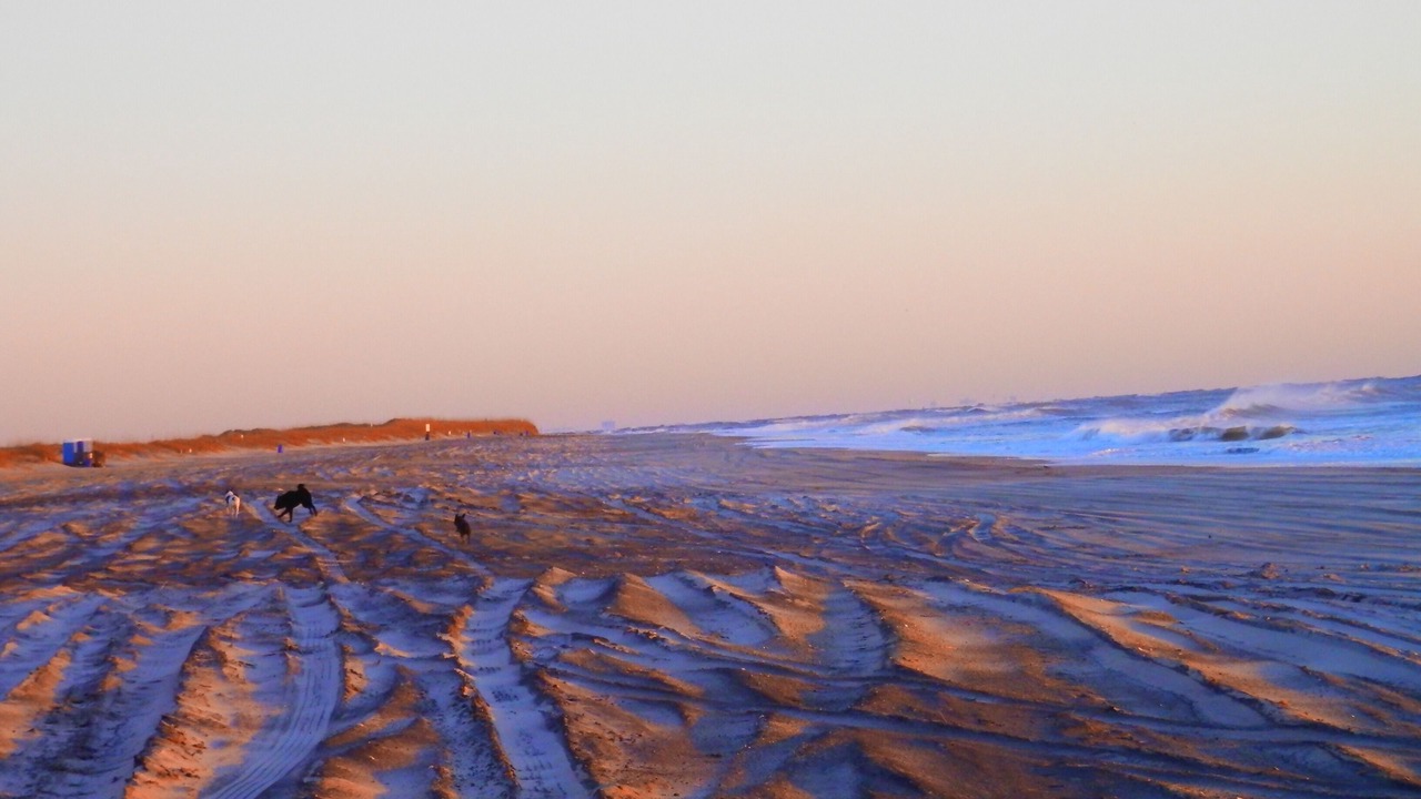 Photo of Others in North Carolina Coast