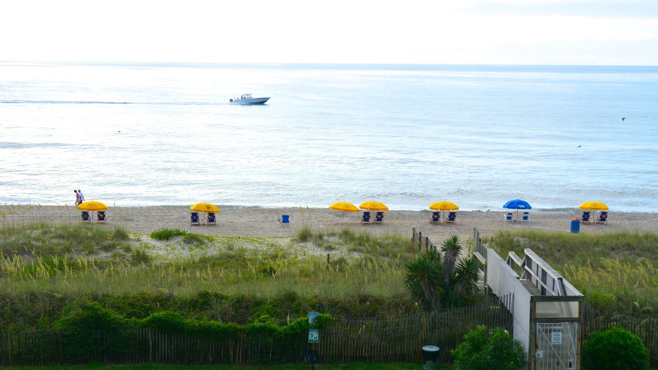 Photo of Others in Wilmington Beach