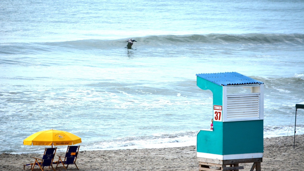 Photo of Others in Wilmington Beach