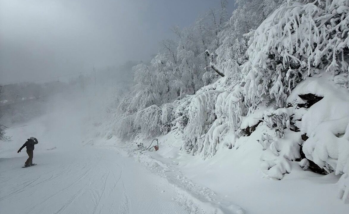 Photo of Others in Sugar Mountain