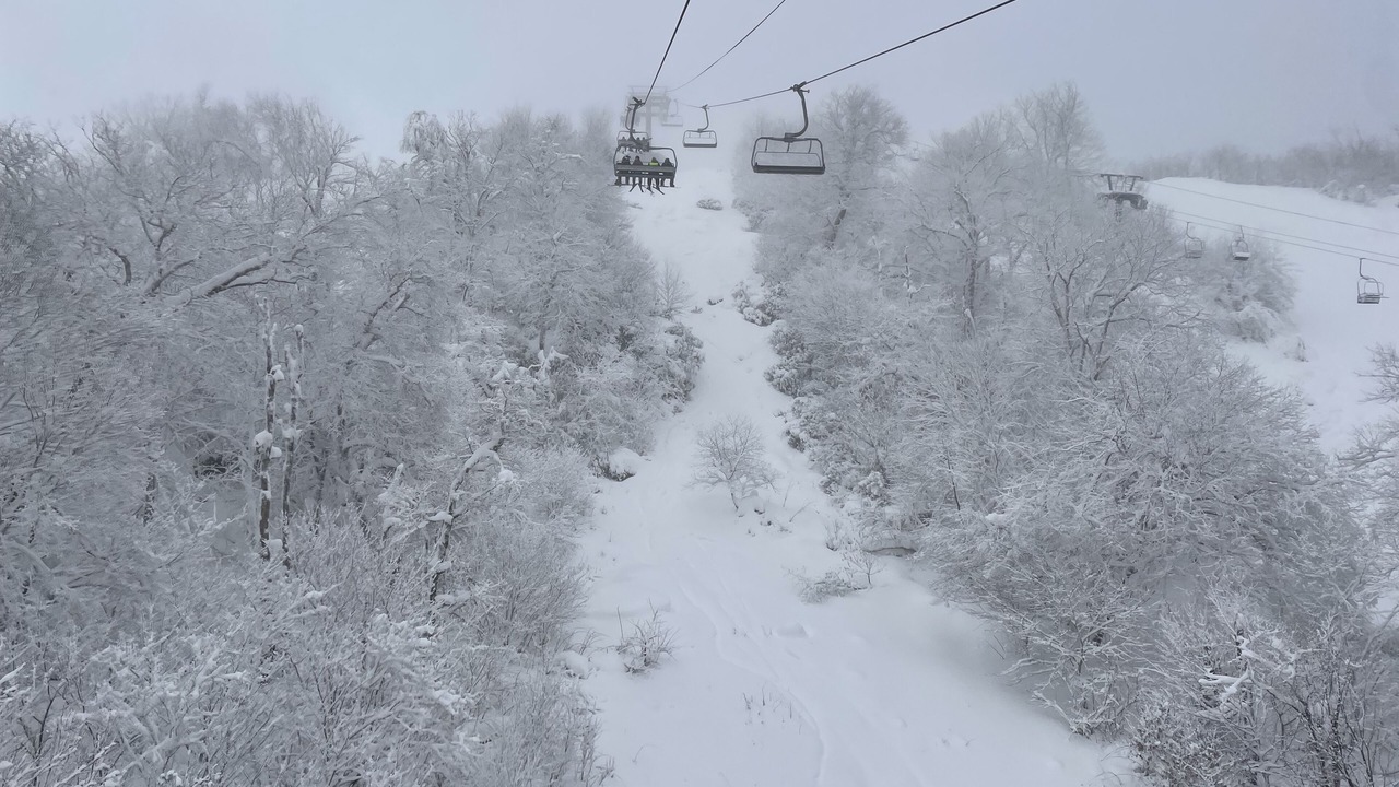 Photo of Others in Sugar Mountain