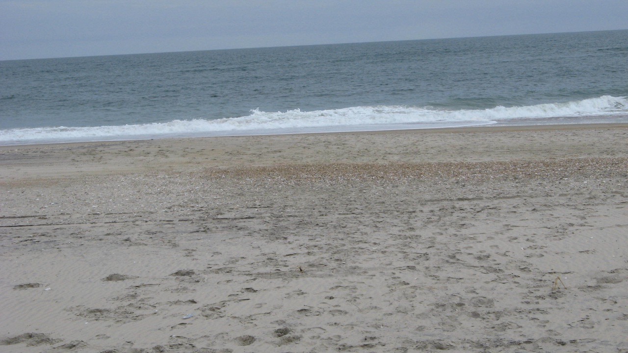 Photo of Others in Salvo