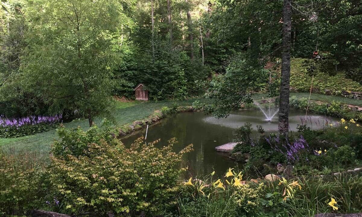 Photo of Outdoor in Brevard