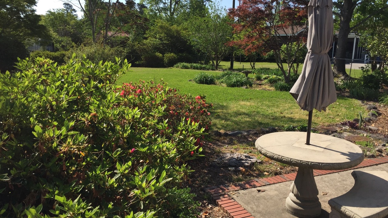 Photo of Outdoor in Wilmington