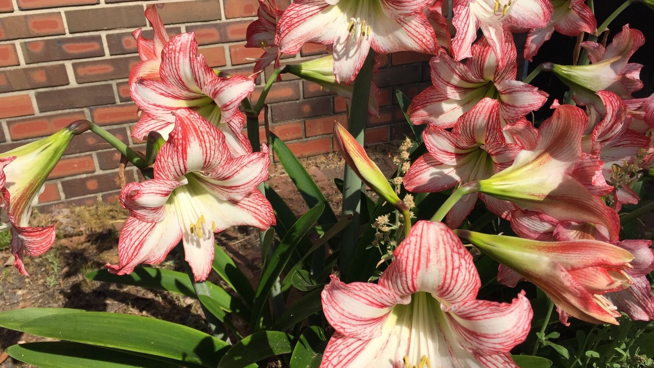 Photo of Outdoor in Wilmington