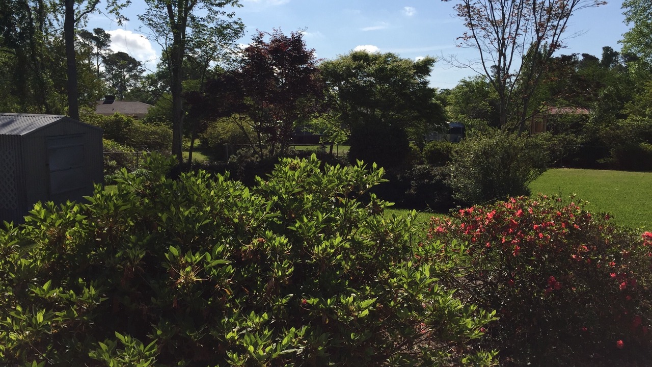 Photo of Outdoor in Wilmington