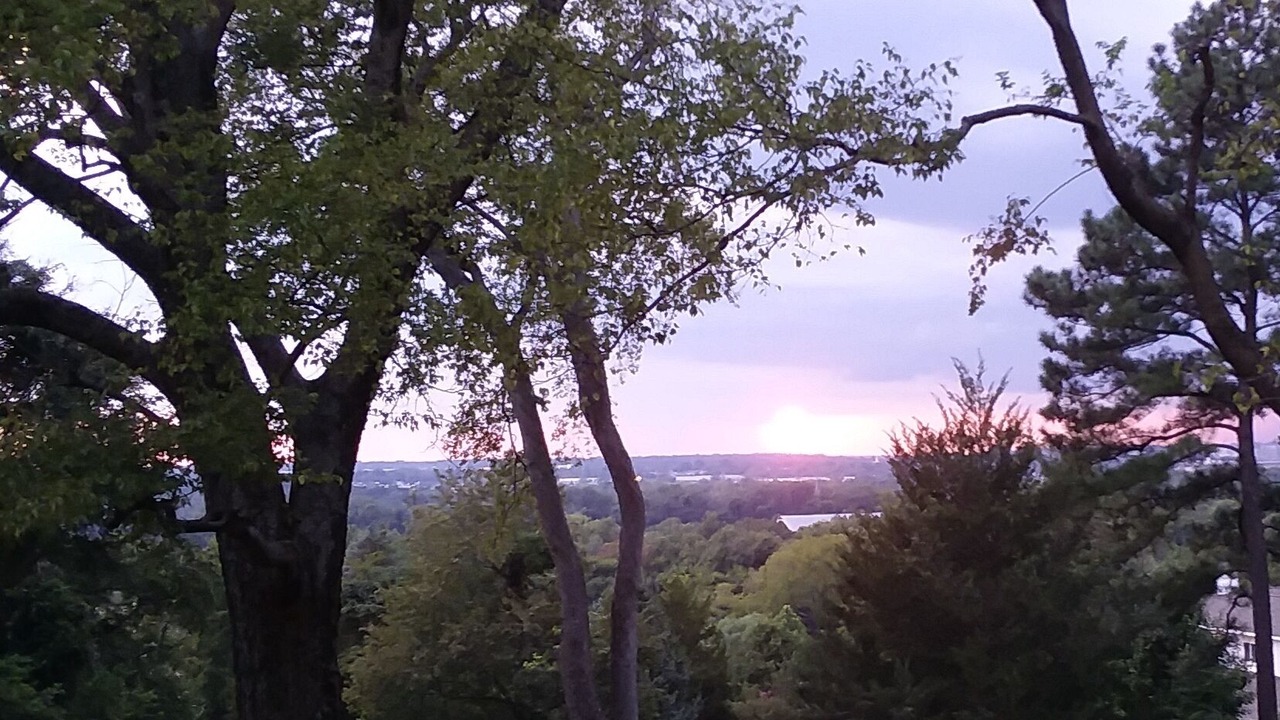 Photo of Outdoor in Mosby