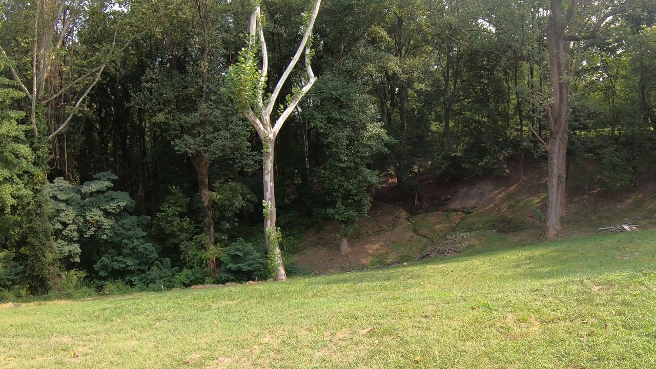 Photo of Outdoor in Mosby