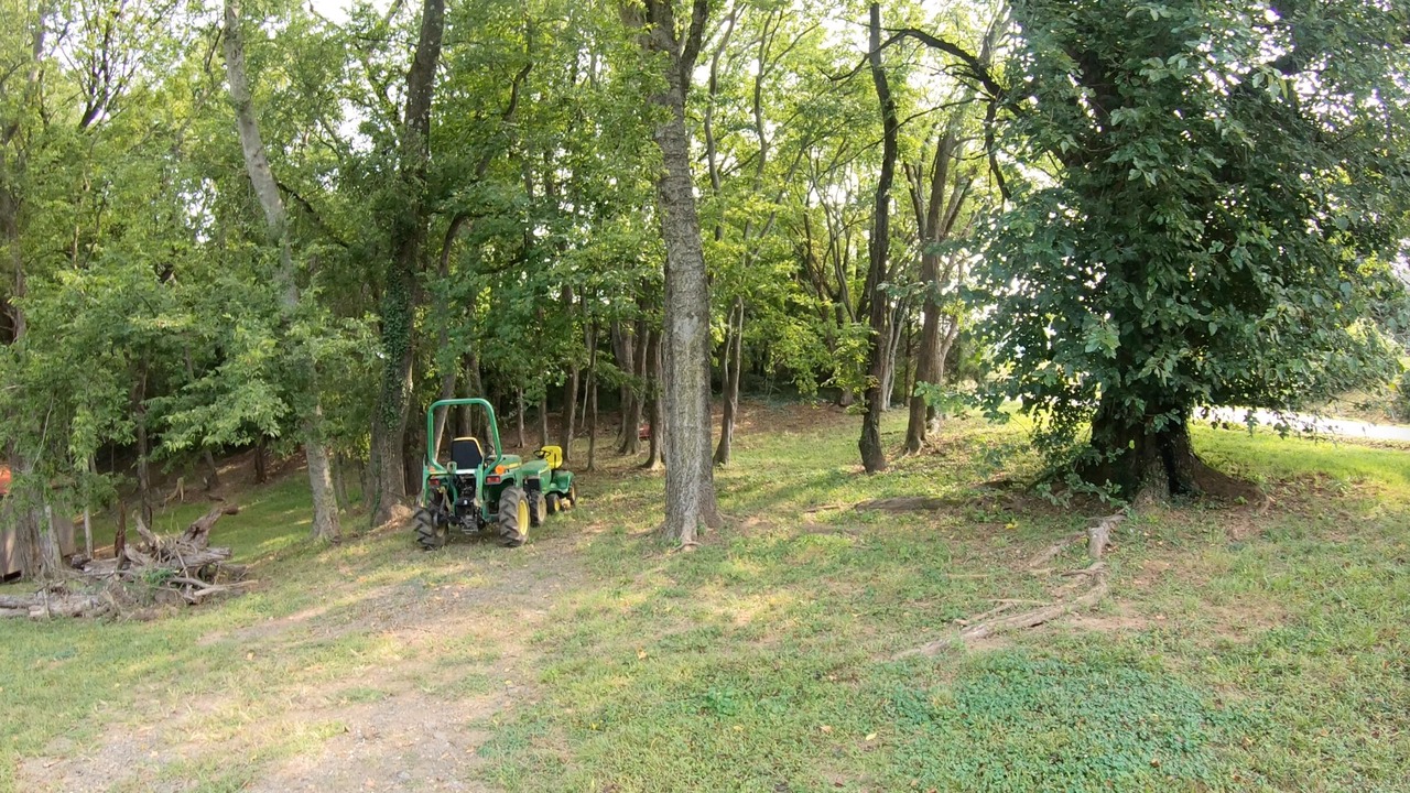 Photo of Outdoor in Mosby