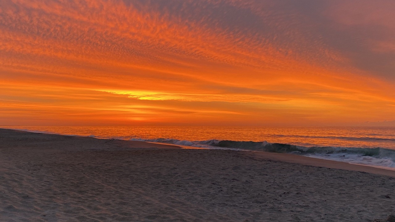 Photo of Others in Surf City