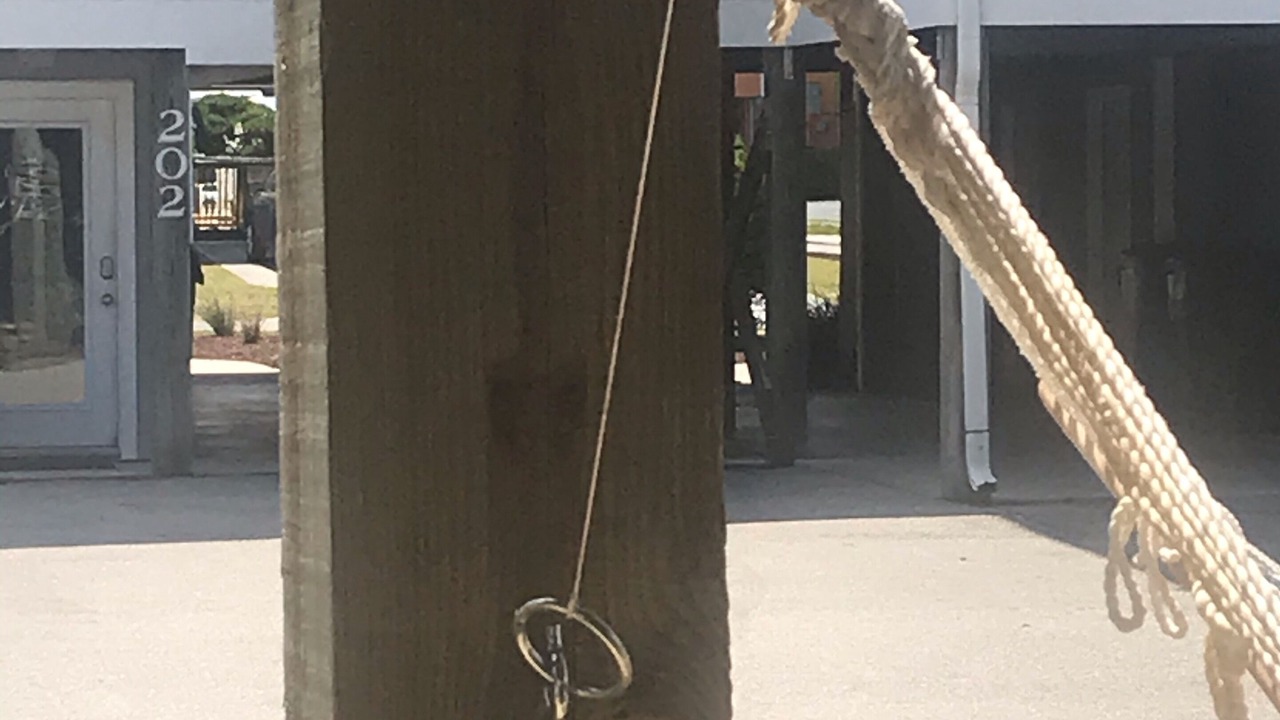 Photo of Others in Surf City