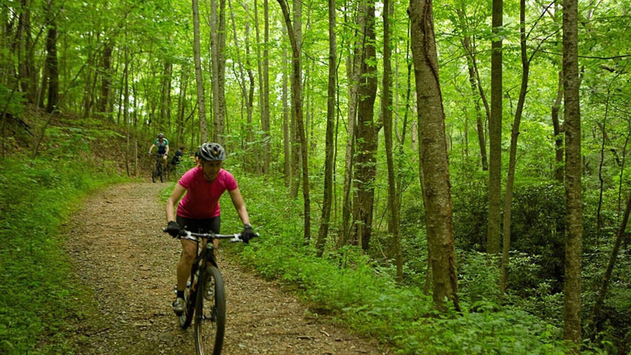 Photo of Outdoor in Lake Lure
