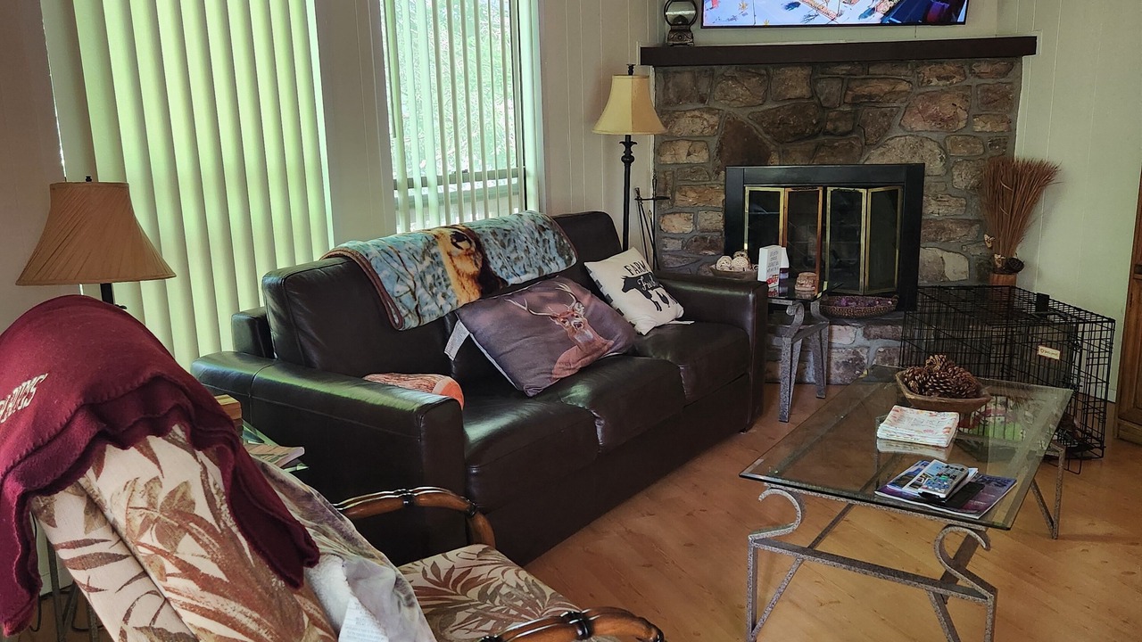 Photo of Livingroom in Beech Mountain