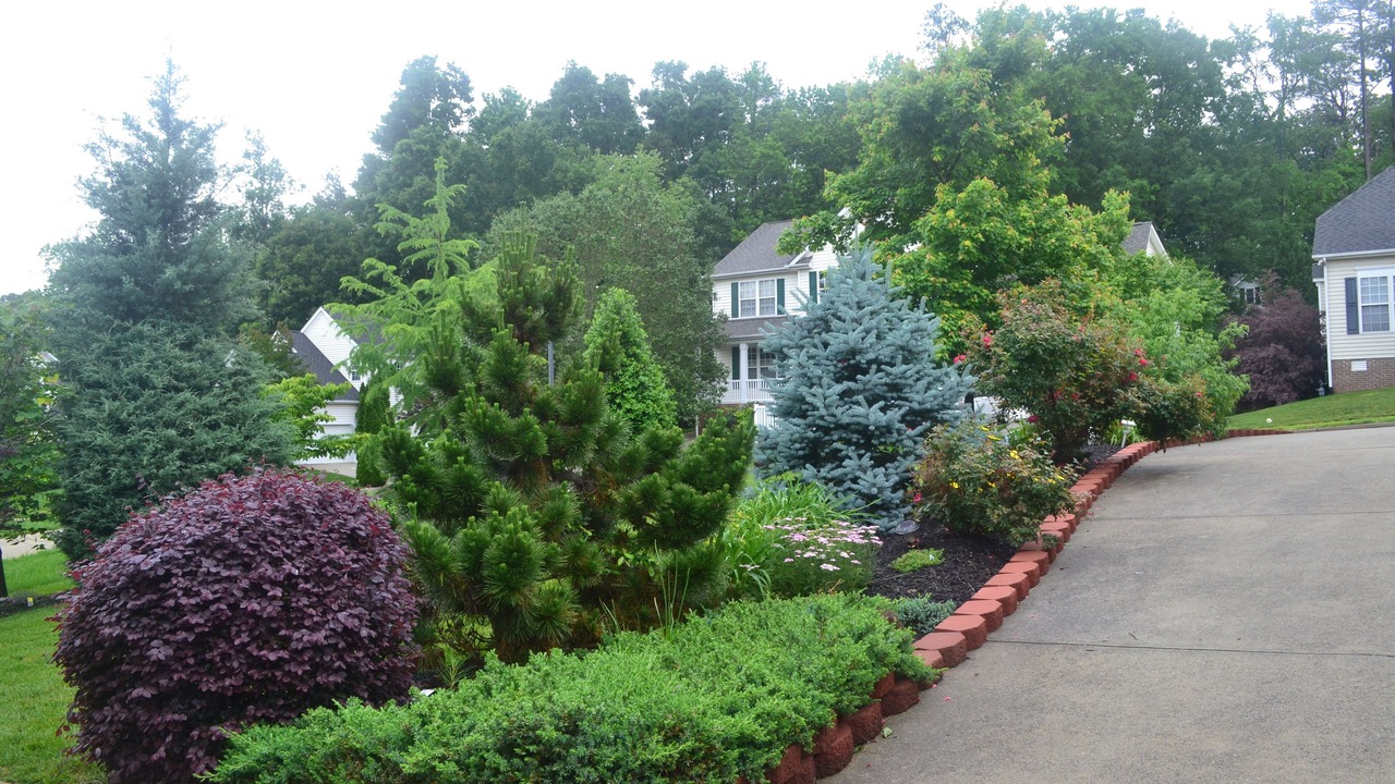 Photo of Outdoor in Chapel Hill