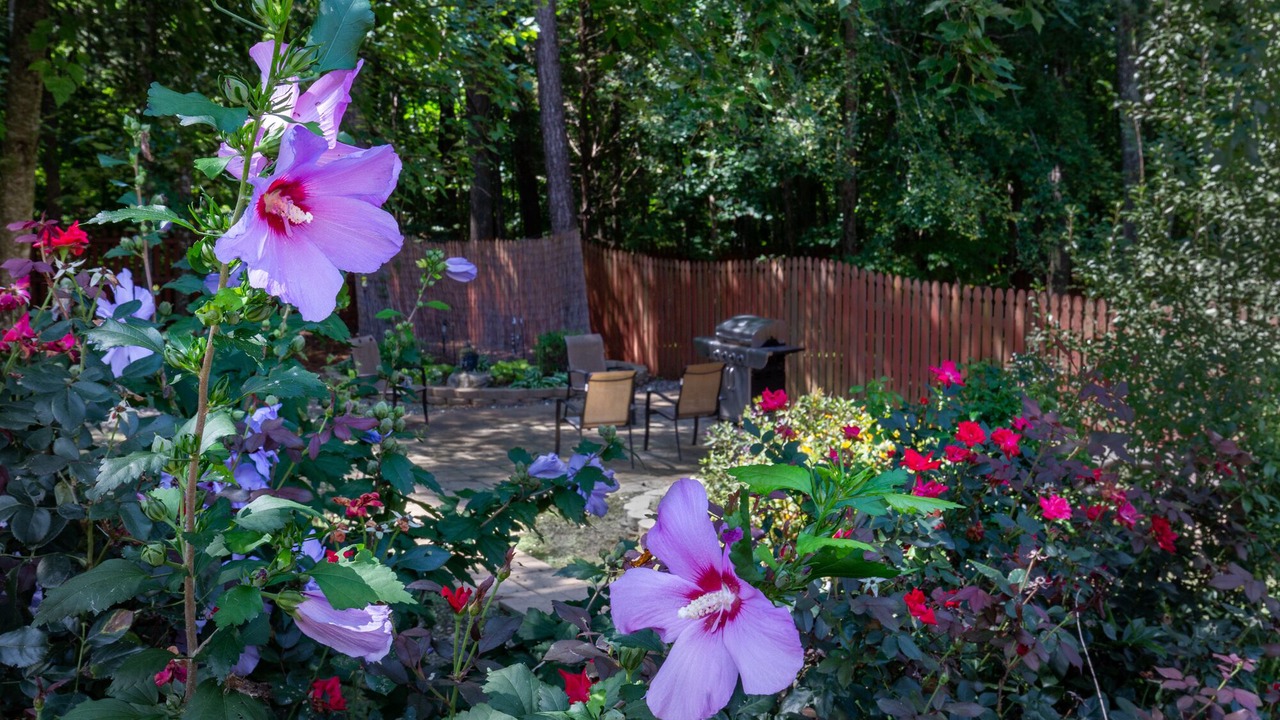 Photo of Outdoor in Chapel Hill