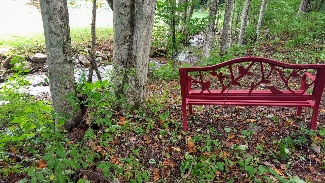 Photo of Outdoor in Waynesville