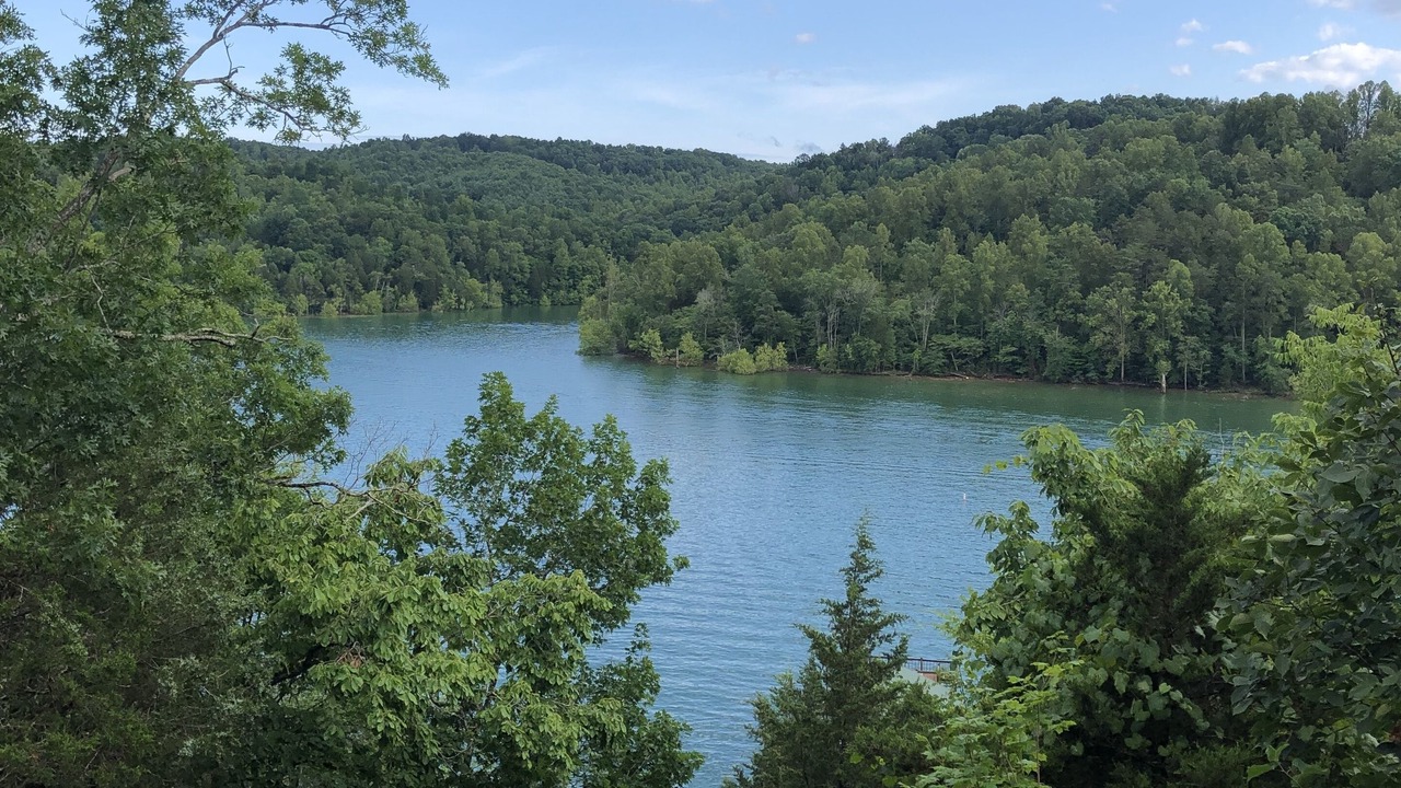 Photo of Others in Flat Hollow Marina