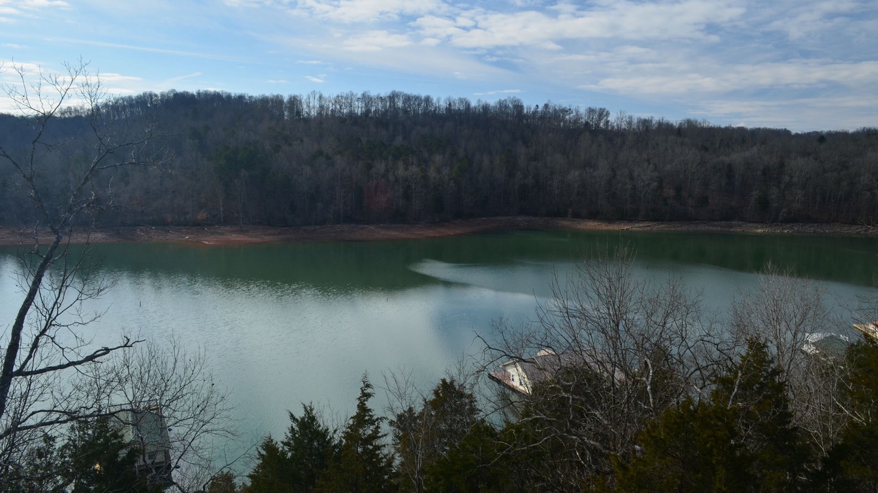 Photo of Outdoor in Flat Hollow Marina