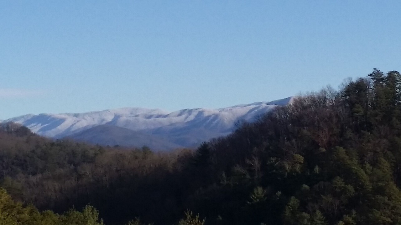 Photo of Others in Tallassee