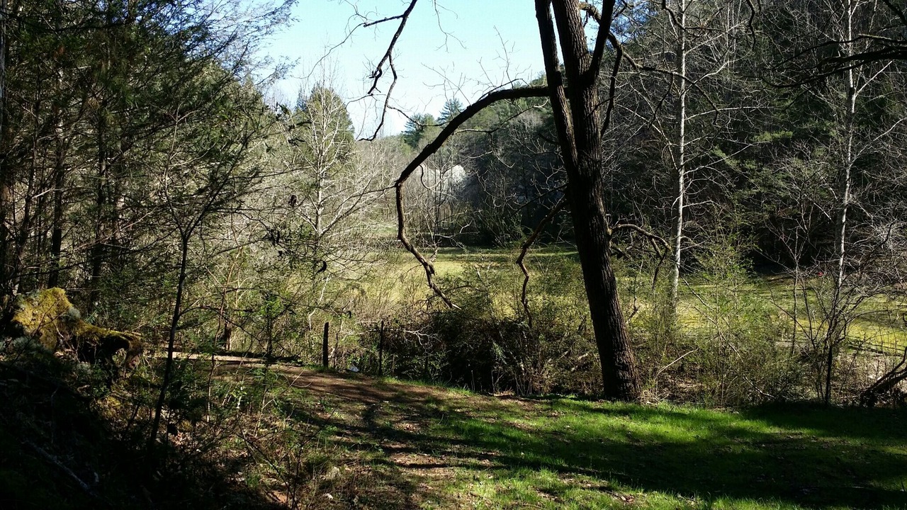 Photo of Others in Tallassee