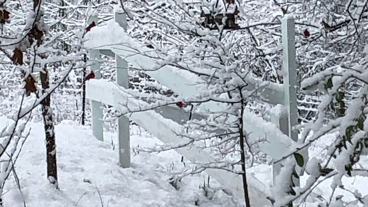 Photo of Outdoor in Tennga