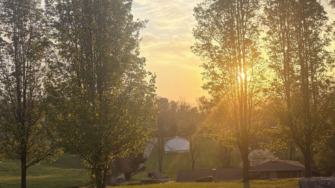 Photo of Outdoor in New River