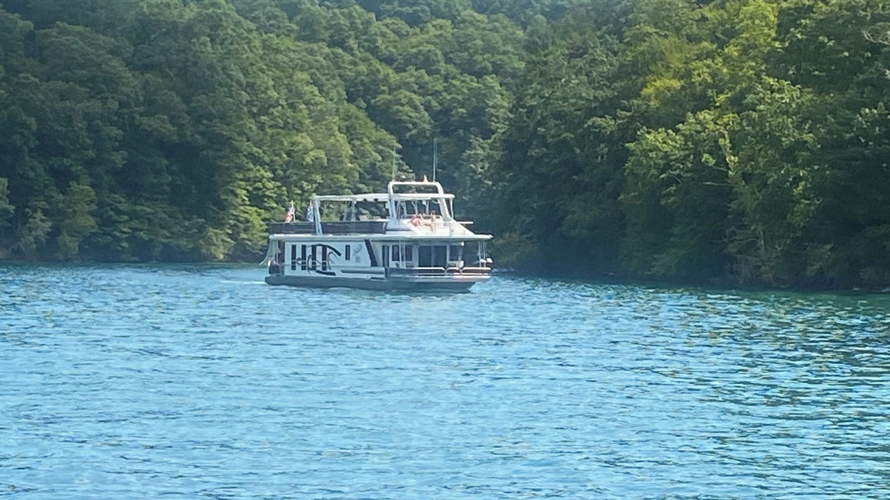 Photo of Others in Speedwell