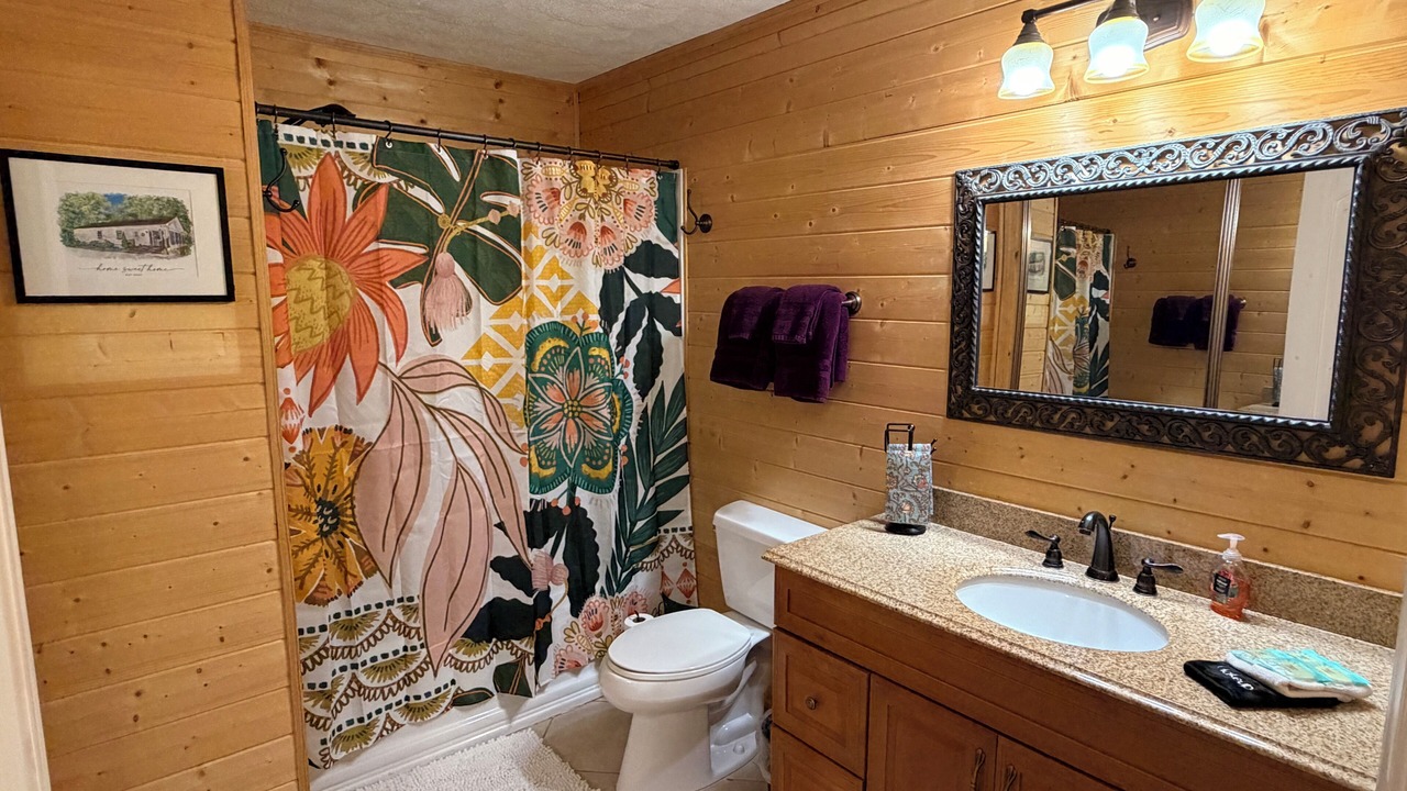Photo of Bathroom in Mills River