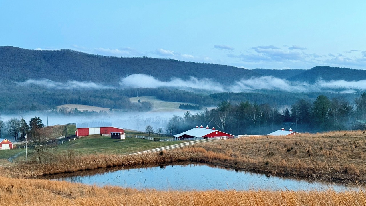 Photo of Others in Fort Valley