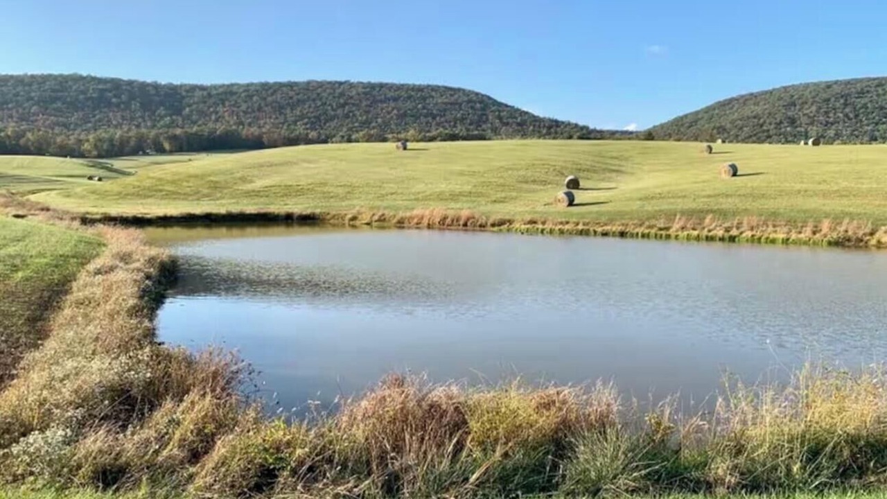 Photo of Others in Fort Valley