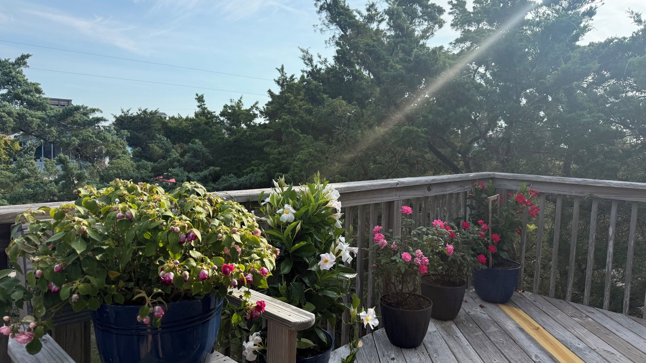 Photo of Patio Balcony in Avon