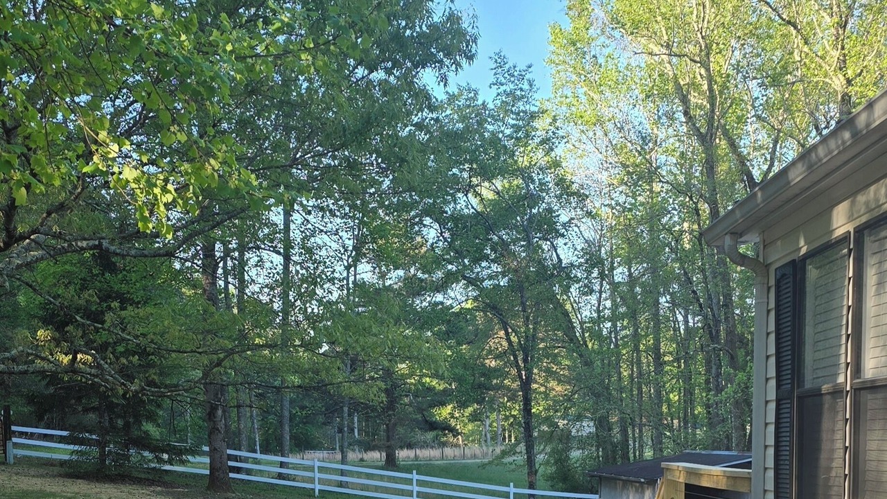 Photo of Outdoor in New Hope
