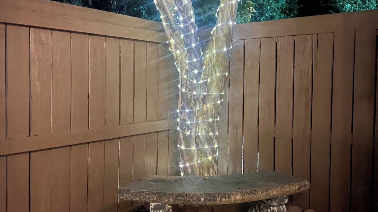 Photo of Outdoor in Northwest Raleigh