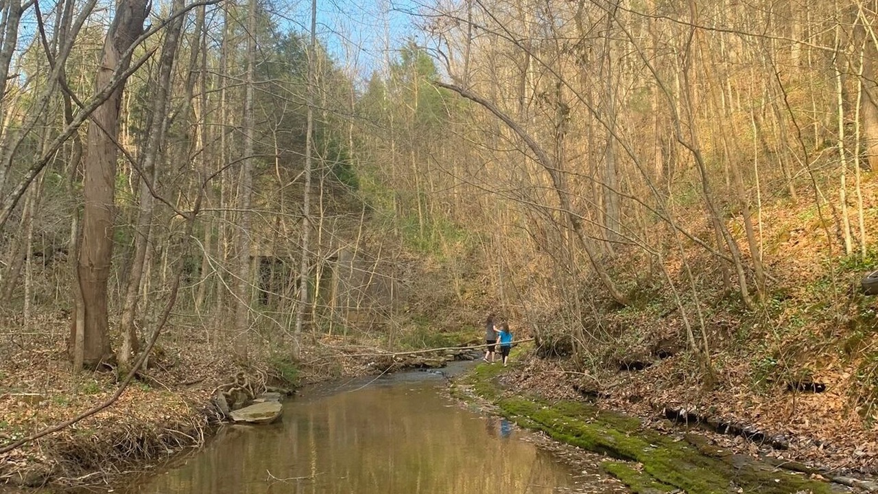 Photo of Others in Byrdstown
