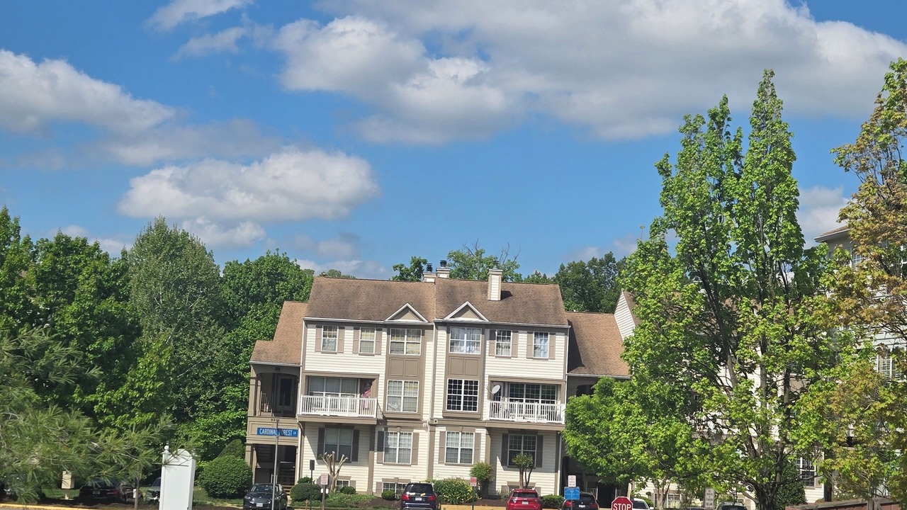 Photo of Outdoor in Lorton