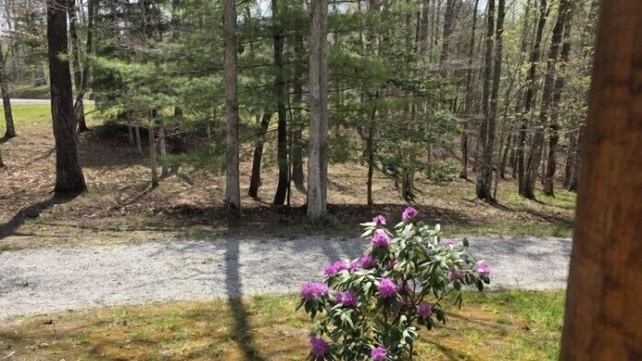 Photo of Others in Jamestown