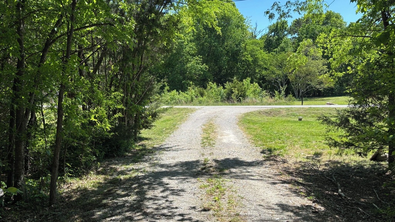 Photo of Others in Columbia