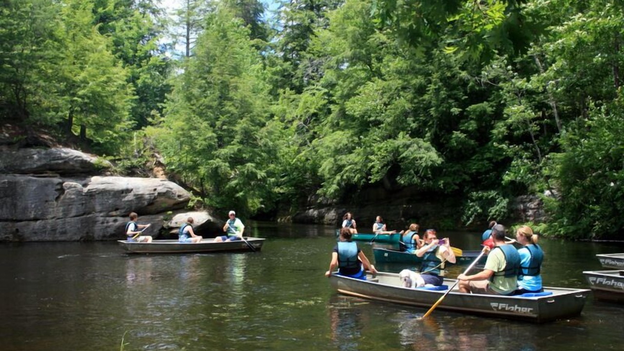 Photo of Others in Jamestown