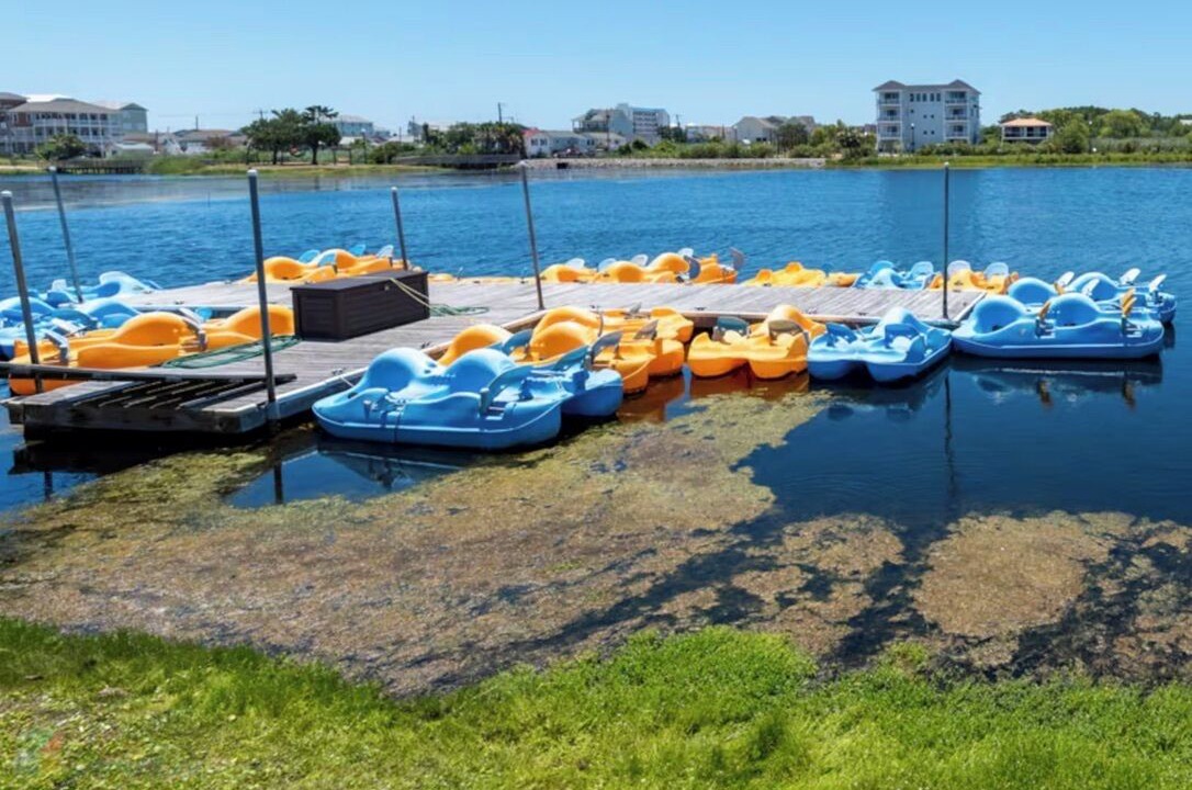 Photo of Others in Wilmington Beach
