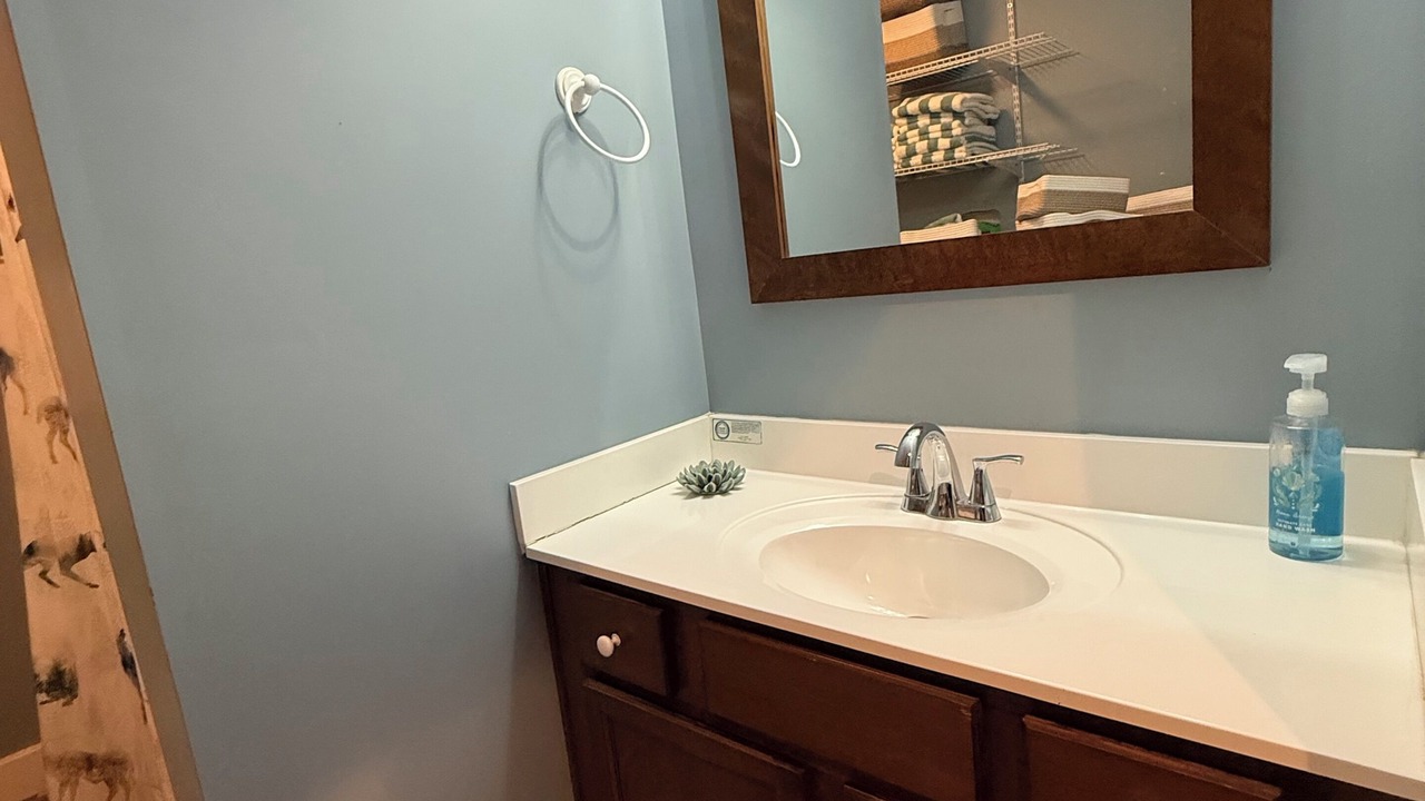 Photo of Bathroom in Shelbyville