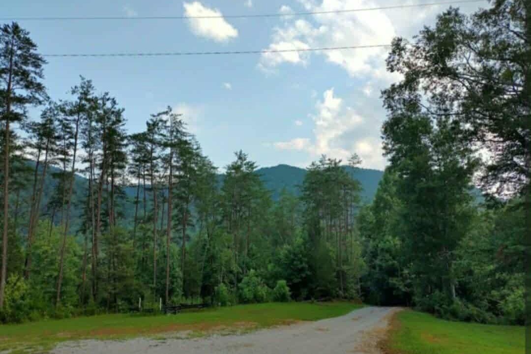 Photo of Others in Newcomb
