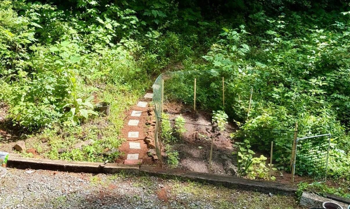 Photo of Outdoor in Saluda