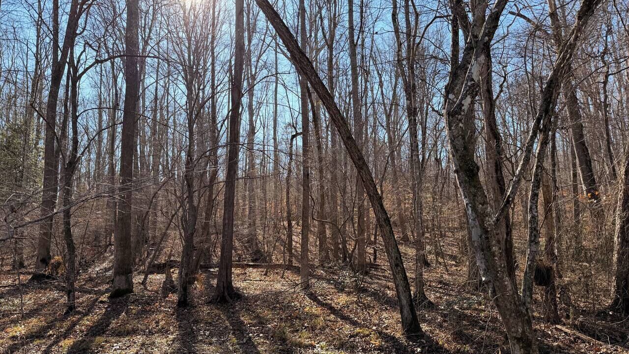 Photo of Outdoor in Elon